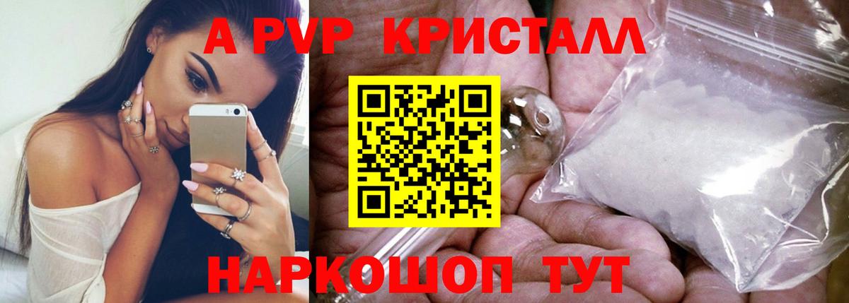 Клинцы  Альфа ПВП СК  Вход с VPN 