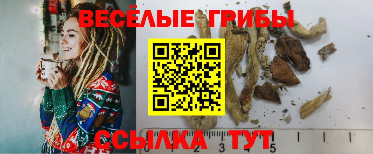 Галлюциногенные грибы Psilocybe  как найти закладки  Клинцы  Галлюциногенные грибы GOLDEN TEACHER  Вход с VPN 